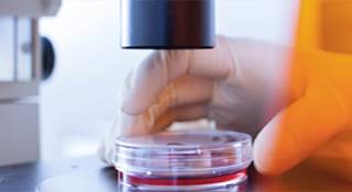 Film adhesif anti-uv pour vitrage