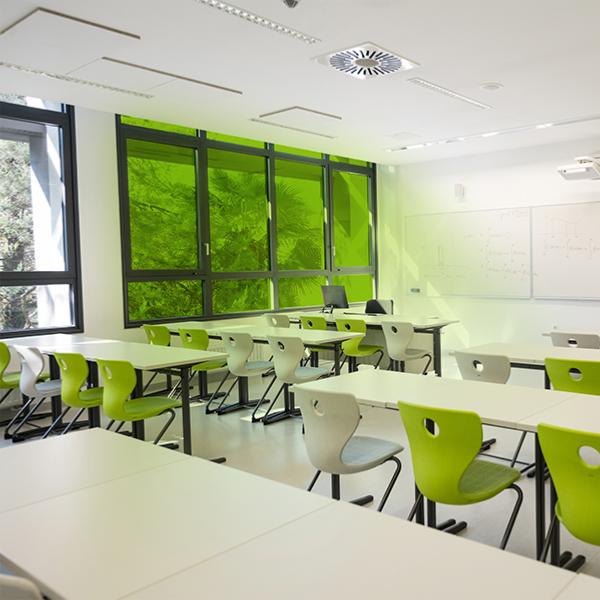 Film adhésif vert citron  transparent, largeur 152 cm , longueur à partir de 2 m